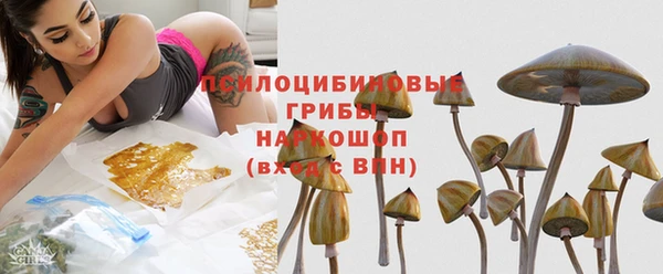 а пвп мука Богданович