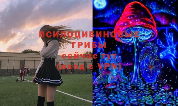 герыч Богородск
