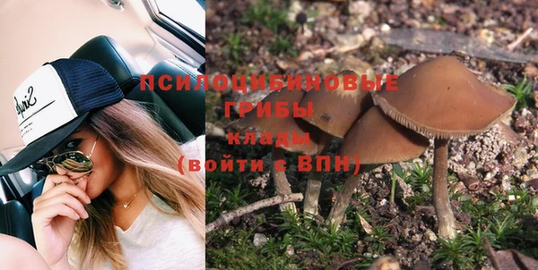 герыч Богородск