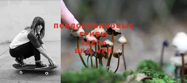 а пвп мука Богданович