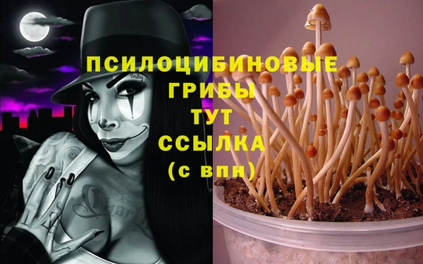стафф Богородицк