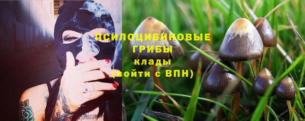 герыч Богородск