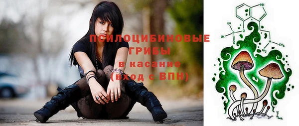 стафф Богородицк