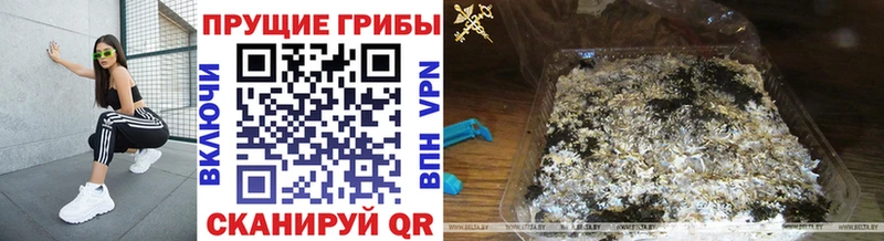 Купить  Слюдянка  Псилоцибиновые грибы прущие грибы 